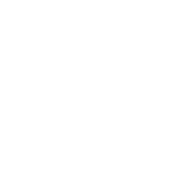 Custom Model Training